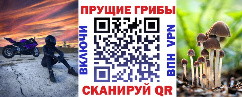 цены наркотик  Усолье-Сибирское  kraken зеркало  Галлюциногенные грибы мицелий 